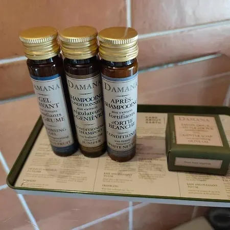 Charme De Victor Conciergeriedamecarcas * Каркассонн